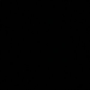 Meet your Posher, Kylee